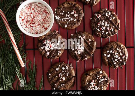 Chocolate cookies with peppermint sprinkles on baking rack. Stock Photo