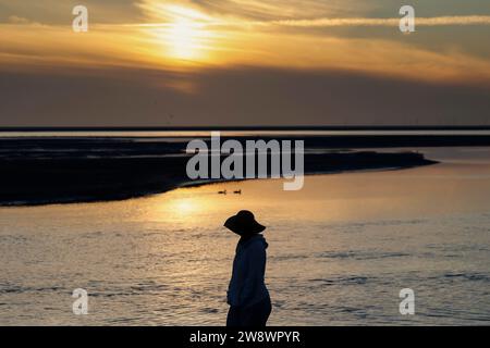 Silhouette of woman standing on beach at sunset on the Island of Borkum watching two ducks swimming on water, Lower Saxony, Germany Stock Photo