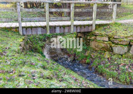 Small wooden pedestrian bridge over a narrow stream between green grass, water flowing over stones, Dutch nature reserve Geleenbeekdal, autumn cold da Stock Photo