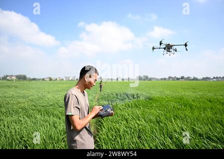 (231222) -- BEIJING, Dec. 22, 2023 (Xinhua) -- Wu Jiahuan (front) operates a drone to spray pesticides in rice fields at Yangji Village, Kuainan Township, Wuhe County, east China's Anhui Province, Aug. 1, 2023. Wu Jiahuan, a post-95s youth, returned to his hometown after graduation and now runs a family farm with his father. During years of construction, various agricultural machinery and equipment were added, and a 300-square-meter grain storage warehouse was built, so their business moves on the right track. As China moved to advance rural revitalization, more and more young people have retu Stock Photo