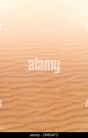Golden Sand Texture with Rippled Patterns in Soft Sunlight Stock Photo