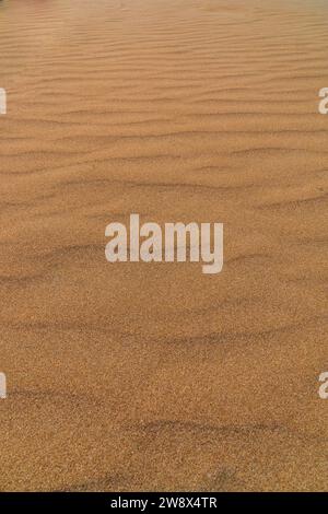 Fine Sand Texture with Gentle Ripples in Natural Lighting Stock Photo