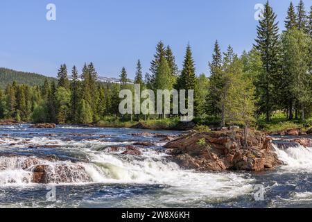 A sun-drenched summer view of the Namsen River in Namsskogan, Trondelag, Norway, featuring cascades over large boulders with solitary trees, against a Stock Photo