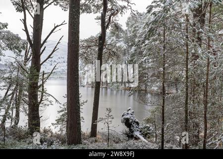 Winter trees around a frozen Loch Mallachie. Highlands, Scotland Stock Photo