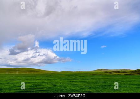Idyllic meadow with mountains in the background, blue sky and white clouds, Iceland Stock Photo