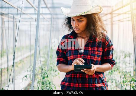 A confident woman farmer in a black shirt checks tomato leaves using her phone in a greenhouse Stock Photo