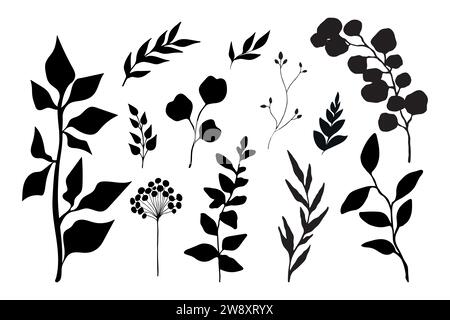 Collection of plant silhouettes. Branches, leaves and botanical elements. Vector illustration Stock Vector