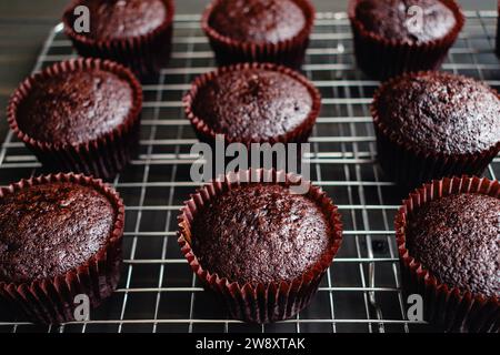 Freshly Baked Chocolate Cupcakes on a Cooling Rack: Close-up view of homemade chocolate cupcakes cooling on a wire rack Stock Photo