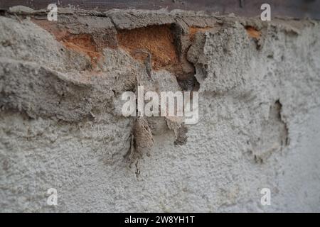 the walls of the building are starting to peel with age Stock Photo