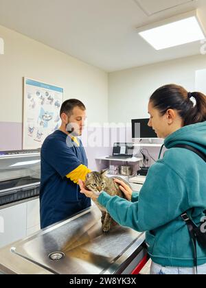 Budva, Montenegro - 25 december 2022: Woman holding cat on table while being examined by doctor in clinic Stock Photo