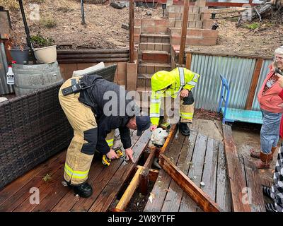 Santa Barbara, California, USA. 21st Dec, 2023. Santa Barbara County Fire Department (SBC ME 26) rescue a yellow lab trapped under deck in Orcutt. Sage, a yellow lab, was trapped under a deck during the heavy rainstorm. According to county fire, Sage tried to crawl through a small opening but got trapped under a deck with water rising. (Credit Image: © Santa Barbara County Fire Department/ZUMA Press Wire) EDITORIAL USAGE ONLY! Not for Commercial USAGE! Stock Photo