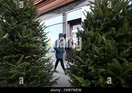 New York, USA. 22nd Dec, 2023. Two people walk past Christas Trees for sale on Manhattan's Upper West Side, York, NY, December 22, 2023. Christmas trees can be purchased from vendors on street corners set up from Thanksgiving through Christmas Eve for last minute shoppers. (Photo by Anthony Behar/Sipa USA) Credit: Sipa USA/Alamy Live News Stock Photo