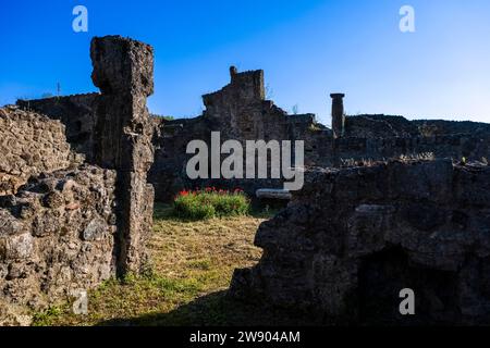 Ruins in the archaeological site of Pompeii, an ancient city destroyed by the eruption of Mount Vesuvius in 79 AD. Stock Photo