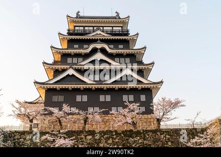 Fukuyama castle, Japan. Dawn with the north side of the borogata keep with its black iron plate cladding with cherry blossoms trees in front. Blue sky. Stock Photo
