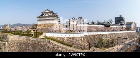 Panoramic view of Fukuyama castle in Japan. Ishigaki stone walls, cherry blossoms, turrets, main gate and the keep in background. Sunny, blue sky. Stock Photo