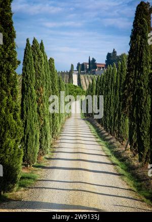 Italian Farmhouse Rural Tuscan landscape, country estate with a farm house, olive trees and ...