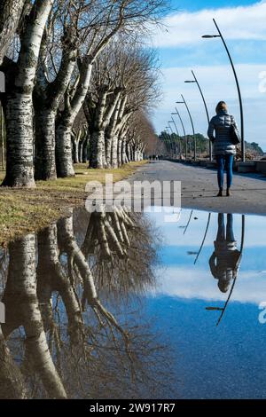 Tree-lined avenue on the seafront in the city of Grado, Italy. Large puddle that generates colored reflections on the asphalt. Girl looks at the sea. Stock Photo