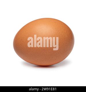 Single fresh raw brown chicken egg isolated on white background close up Stock Photo