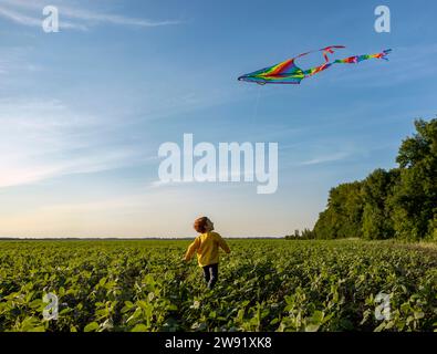 Playful boy flying kite in agricultural field under sky Stock Photo