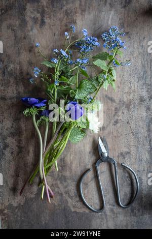 Freshly picked anemones and forget-me-nots Stock Photo