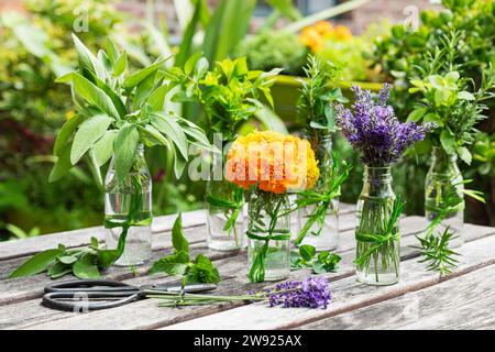 Herbs and edible flowers cultivated in balcony garden Stock Photo