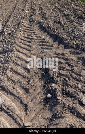 traces of heavy vehicles on a sandy road, tracks from the tread of trucks and tractors on the field Stock Photo