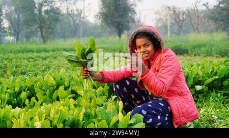 Spinach leaves in kid's hands. Little girl holds green fresh organic spinach leaves and showing thumbs up. Homegrown. Stock Photo