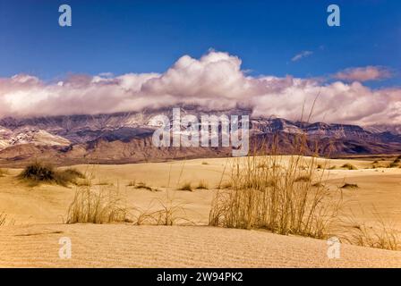 Salt Basin Dunes in front of western escarpment of snowcapped Guadalupe Mtns at sunset, Chihuahuan Desert, Guadalupe Mtns Natl Park, Texas, USA Stock Photo