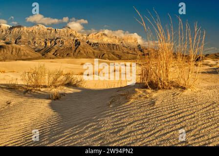 Salt Basin Dunes in front of western escarpment of Guadalupe Mountains at sunset, Chihuahuan Desert, Guadalupe Mountains National Park, Texas, USA Stock Photo