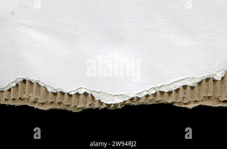 Blank white cardboard texture background Stock Photo
