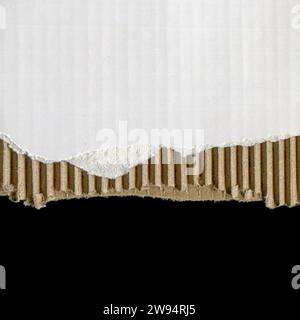 Blank white cardboard texture background Stock Photo
