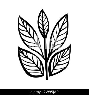 Hand drawn of leaf floral, doodle sketch leaves floral. leaf decoration, floral wreath sketch doodle. Vector Flowers and plants hand drawn illustratio Stock Vector