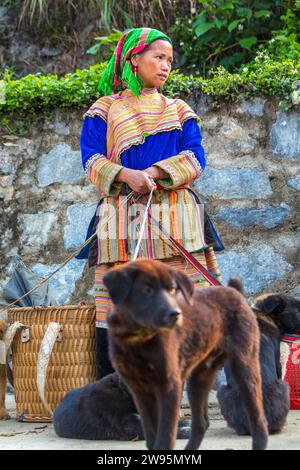 Flower Hmong woman selling dogs, Sunday market, Bac Ha, Vietnam Stock Photo