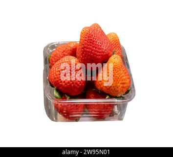 Fresh beautiful strawberries in transparent plastic container are isolated on white background with clipping path. Stock Photo