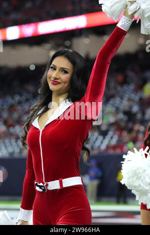 Houston, Texas, USA. 24th Dec, 2016. Houston Texans quarterback Brock ...