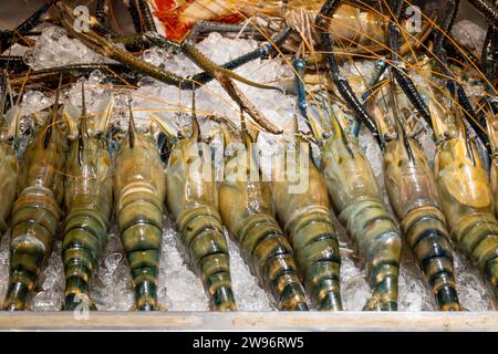 River prawns are on sale on market in Thailand Stock Photo