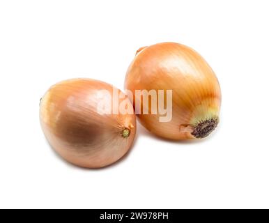 Two fresh orange onions are isolated on white background with clipping path. Stock Photo