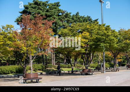 12 October 2022 - Seoul, South Korea : View of Yeouido Park, walkway with colorful leaves tree in autumn. Stock Photo