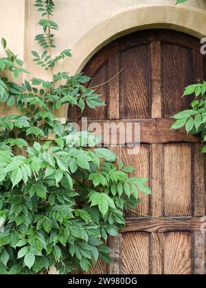 A lush green landscape featuring a rustic wooden arched door embedded in a stone wall. Stock Photo