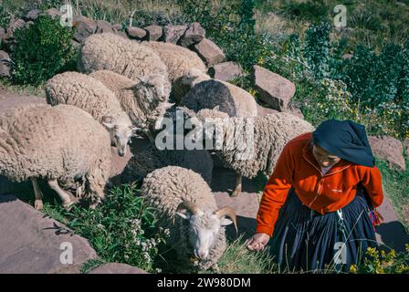 A woman tending the flock in the mountains of Taquile island (Puno, Peru) Stock Photo