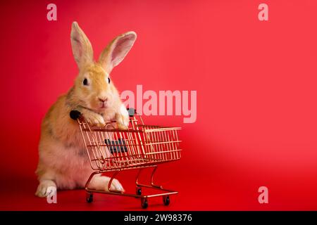 portrait bunny with shopping cart on red background with copyspace. easter bunny portrait on festive red background. Stock Photo