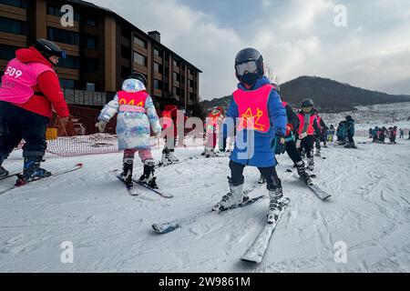 (231225) -- JILIN, Dec. 25, 2023 (Xinhua) -- This photo taken on Dec. 5, 2023 shows children learning to ski at Lake Songhua Resort in Jilin City, northeast China's Jilin Province. As winter falls, the Swiss town of Zermatt and China's Jilin entered their peak season for tourists. Thanks to the landscape that overlooked by the Matterhorn Mountain, one of the natural symbols of Switzerland in the Alps, Zermatt attracts masses of worldwide winter-lovers. Based on winter activities, a full chain of tourism industry has been built in Zermatt, including catering, shopping, hiking, accommodation Stock Photo