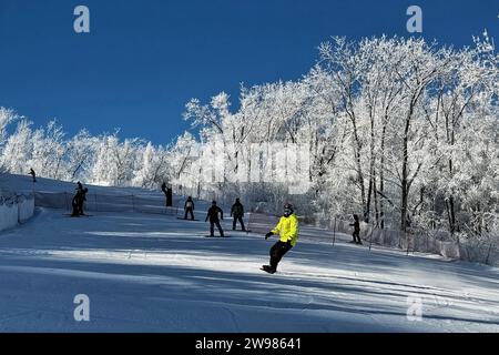 (231225) -- JILIN, Dec. 25, 2023 (Xinhua) -- This photo taken on Nov. 25, 2023 shows people enjoying winter sports at Lake Songhua Resort in Jilin City, northeast China's Jilin Province. As winter falls, the Swiss town of Zermatt and China's Jilin entered their peak season for tourists. Thanks to the landscape that overlooked by the Matterhorn Mountain, one of the natural symbols of Switzerland in the Alps, Zermatt attracts masses of worldwide winter-lovers. Based on winter activities, a full chain of tourism industry has been built in Zermatt, including catering, shopping, hiking, accommo Stock Photo