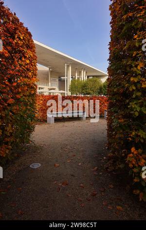 An Empty bench surrounded by autumnal colored beech hedge at the Art Museum in Bonn, Germany Stock Photo