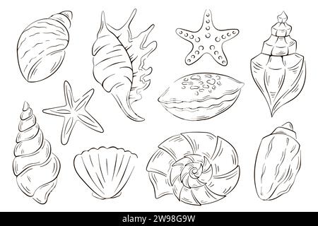 Undersea shells set in line art style. Summer design for fish restaurant, package, logo, icon, menu. Vector illustration isolated on a white Stock Vector
