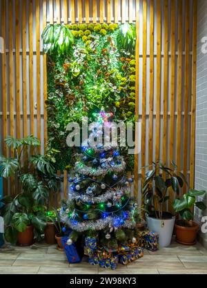 Simple Christmas decor ated tree among live plants in a cafe in Samarkand Uzbekistan Stock Photo