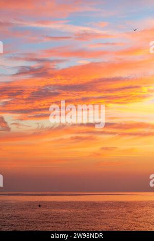 Various types of cloud formations over the sea, all coloured orange from the (unseen) rising sun with a single seagull flying high over head Stock Photo