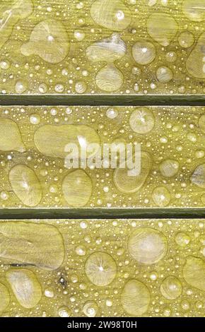 frosted textured surface, abstract texture, background. scientific concept, nature Stock Photo