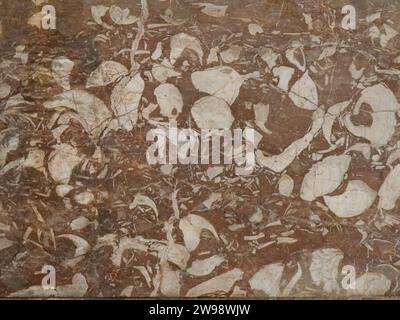 Marble surface with an unusual pattern in St. Mark's Cathedral in Venice in brown and beige tones. Can be used very well as an abstract background. Stock Photo
