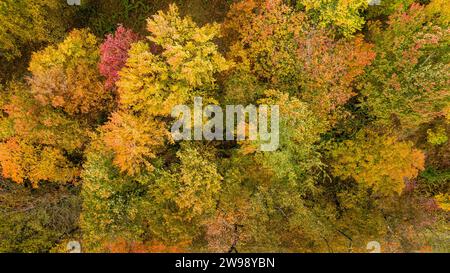 Aerial view of vibrant green and yellow rapeseed fields surrounding a ...